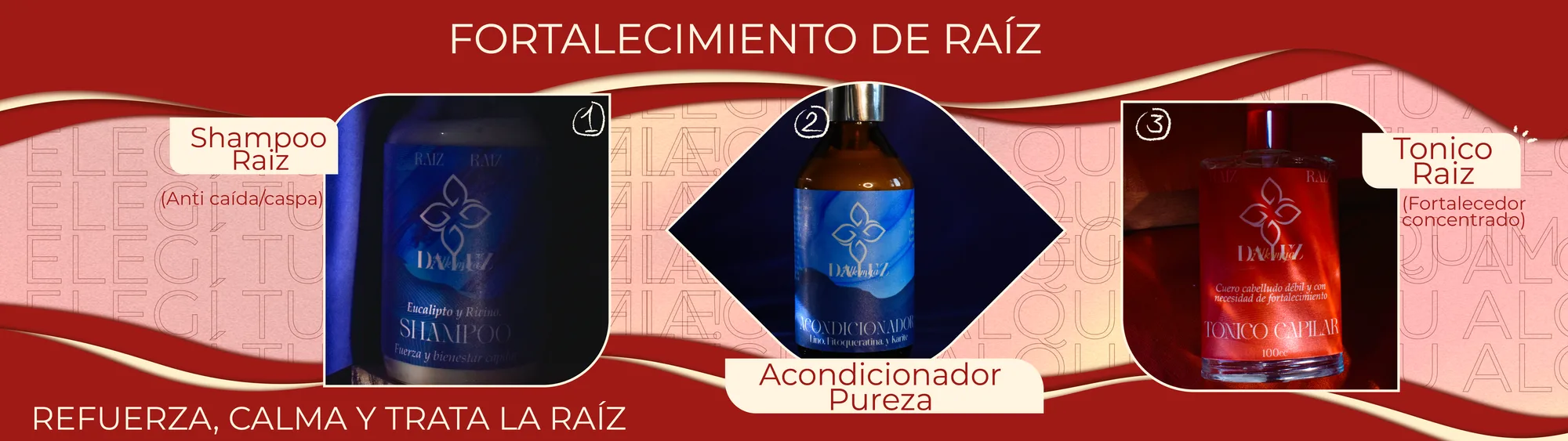 Ceremonia capilar de fortalecimiento de raíz: refuerza, calma y trata la raíz